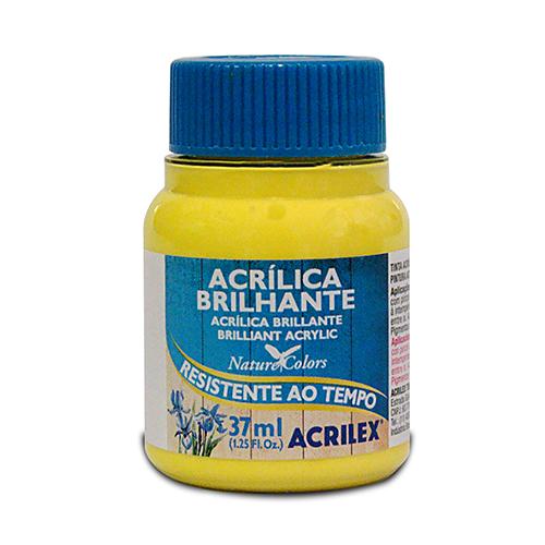 PINTURA ACRÍLICA BRILLANTE 37 ML