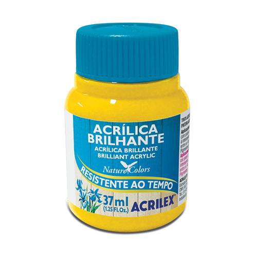PINTURA ACRÍLICA BRILLANTE 37 ML