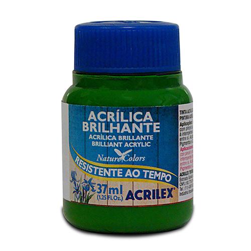 PINTURA ACRÍLICA BRILLANTE 37 ML