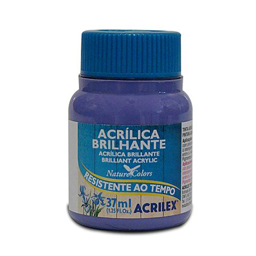 PINTURA ACRÍLICA BRILLANTE 37 ML