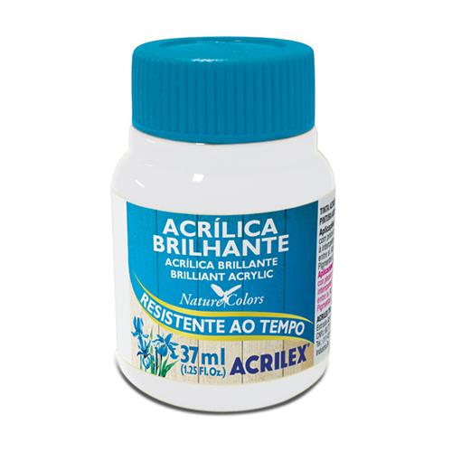 PINTURA ACRÍLICA BRILLANTE 37 ML