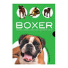 BOXER