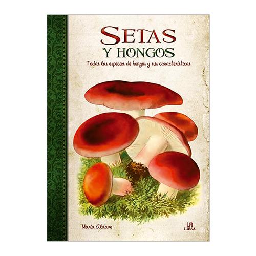 SETAS Y HONGOS